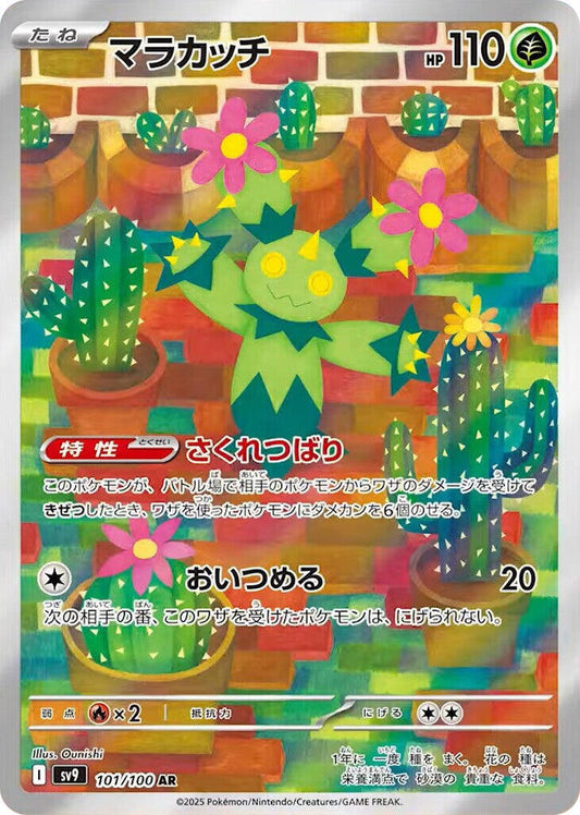 JAPANESE Maractus - 101/100